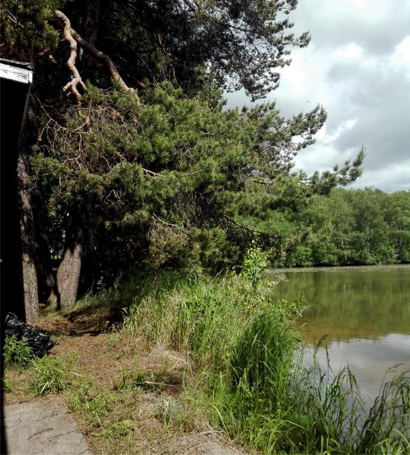 Old Finnish Lakeside Cottage With Sauna 奥卢 外观 照片
